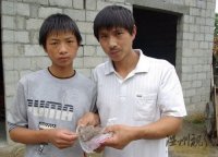 神農架采藥山民拾獲不明動物毛發