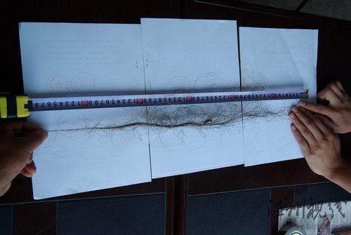 神農(nóng)架采藥山民拾獲不明動(dòng)物毛發(fā)(組圖)