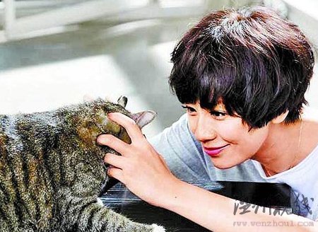 賈靜雯王靜瑩未婚先孕進豪門 終是少奶夢一場