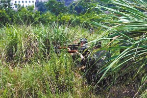 公牛進(jìn)居民區(qū)連傷7人被狙擊手擊斃(組圖)