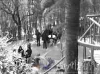 溫州景山公園 市民玩溫州雙扣休閑娛樂被疑為賭博
