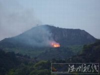 溫州新聞：永嘉渠口鄉渠口村泰石村發生重大森林火