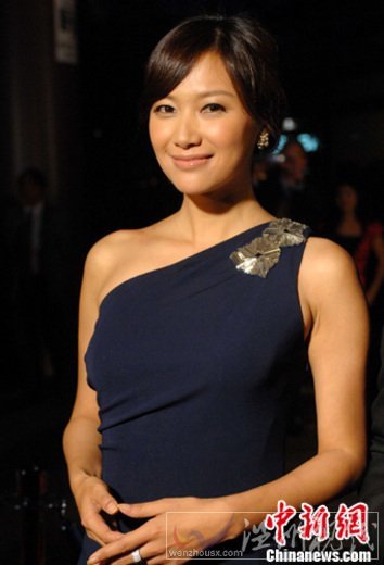 2011娛圈女性領袖榜:范冰冰姚晨王菲引領話題