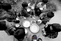 云南貧困小學(xué)生每日以土豆為餐 呼吁社會愛心幫扶