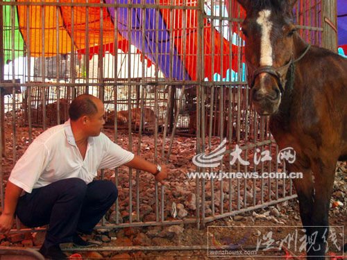 老虎從這里鉆出來(lái)的。