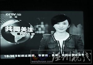 央視主播歐陽夏丹牛仔裝引關注 觀眾難以置信