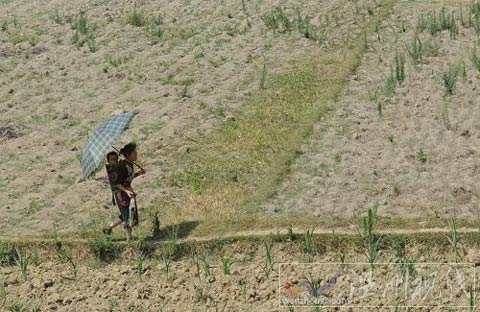 貴州近期仍無(wú)明顯強(qiáng)降水 旱情呈發(fā)展態(tài)勢(shì)