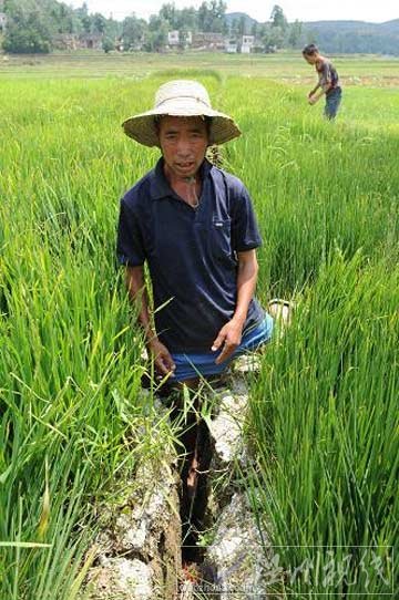 貴州近期仍無(wú)明顯強(qiáng)降水 旱情呈發(fā)展態(tài)勢(shì)