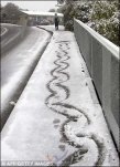 新西蘭罕見強降雪影響范圍廣 公路機場關閉四人受傷