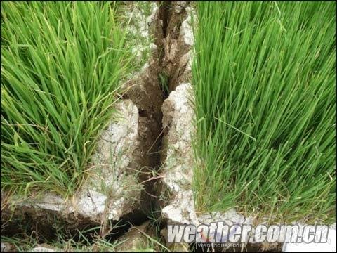 貴州800多萬人受旱災 Ⅳ級應急響應啟動