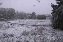 新疆昭蘇天氣預報 今日迎來今冬首場大雪