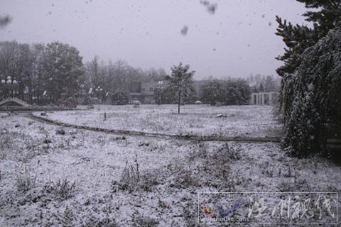 新疆昭蘇地區迎來今冬首場大雪(組圖)