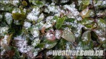 張家界景區迎來今冬首場降雪 張家界景區最低溫度降