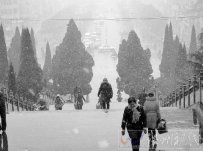 河南昨日迎來新年第一場雪 未來幾天雨雪增多