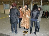 張咪逃加拿大 報案人機(jī)場攔截警方放行張咪偷逃加拿