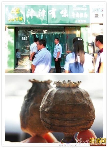 市場驚現(xiàn)罌粟拉面 面館里發(fā)現(xiàn)完整罌粟(圖)