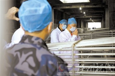 歸真堂再開放參觀者跪拜謝罪 微博遭數(shù)萬人咒罵