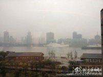 上海2012情人節(jié)天氣預(yù)報(bào)有小雨 情人節(jié)送花勿忘我(雨