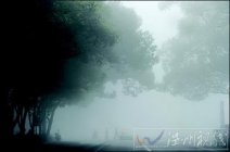 武漢31日大霧 多條高速全線封閉使客運和機場航班延