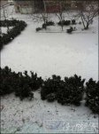 山東降雪不斷持續低溫 蔬菜價格居高不下