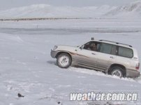 青海省甘德縣雪災達到重度雪災已經有21天 牛羊靠儲