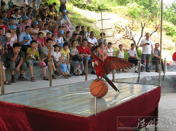 金華動(dòng)物園