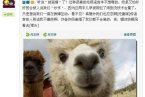 張杰謝娜被離婚 謝娜微博怒罵送造謠者“草泥馬”