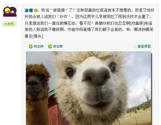 張杰謝娜被離婚,謝娜微博怒罵送造謠者“草泥馬”