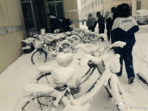 冷空氣頻擾氣溫波動大 北方多風干燥需防火