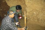 四川巨鼠大如貓 四川雅安市蘆山縣龍門洞發(fā)現(xiàn)巨鼠體