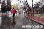 4月21日遼寧天氣全省普降春雨 遼東半島南部雨量最大