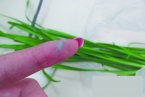 藍礬韭菜驚現青島 菜販給韭菜噴藍礬水保鮮