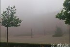 6月3日北京天氣預(yù)報(bào) 凌晨北京雷陣雨 6月3日白天北京