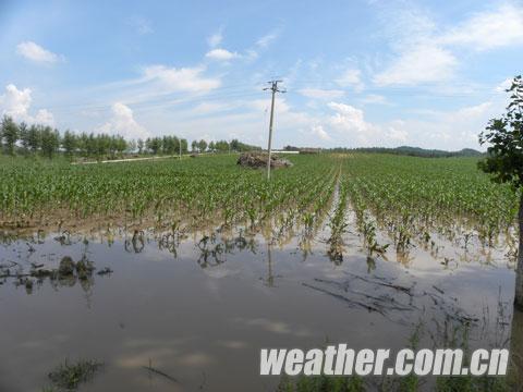 長春20日出現(xiàn)局地暴雨和冰雹等強(qiáng)對流天氣