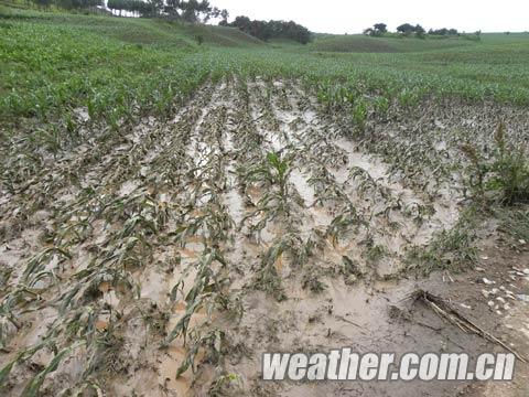 長春20日出現(xiàn)局地暴雨和冰雹等強(qiáng)對流天氣