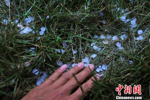 新疆石河子連遭冰雹襲擊 致部分城區(qū)停電