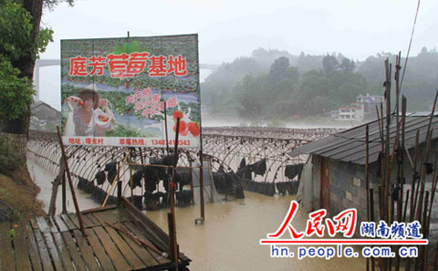 26日強降雨襲擊湘西北 湖南已啟動防汛四級響應(yīng)