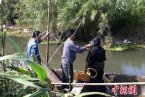 慈溪橋頭男尸 慈溪橋頭鎮(zhèn)河道驚現(xiàn)6具男尸 慈溪市橋