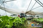 瓊海龍卷風(fēng)86人受災(zāi)沒有造成人員傷亡
