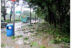 臺風韋森特在哪登陸 臺風韋森特在廣東省臺山市赤溪
