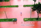 臺風韋森特最新消息 廣東省臺風韋森特最新消息8人