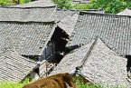 溫州古村落介紹 溫州各地的古村落旅游地圖