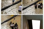 溫州平陽水頭滿大水 7月27日平陽暴雨導致平陽水頭滿