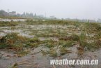 江西新余市強降雨 新余市區積水嚴重 江西新余市強