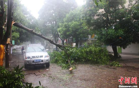 臺(tái)風(fēng)啟德影響 已致防城港1人死亡2人失蹤 防城港臺(tái)風(fēng)最新災(zāi)情