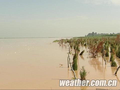寧夏將出現(xiàn)明顯降水 黃河防汛形勢更加嚴(yán)峻