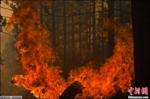 美國加州山火 雷電引發山火還有200多棟建筑受威脅