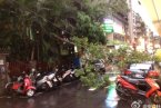 臺(tái)風(fēng)蘇拉帶來(lái)強(qiáng)降水 途徑區(qū)域累積降雨可能超1米