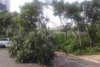 遼寧防布拉萬轉移群眾21萬 降水今日基本結束