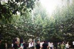 河南職業(yè)技術(shù)學(xué)院女生宿舍疑發(fā)生兇殺案 三名女生死